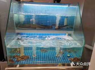 原始泥炉烤肉: 环境: 进店一看,整体装修给人以简约