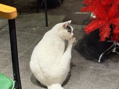 -作咖啡(养育巷店)