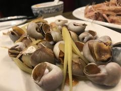 香螺-温州炎亭海鲜阁(万塘路店)