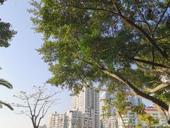 -白鹭洲公园