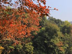 -广州市白云山风景名胜区