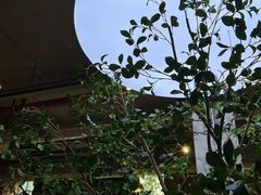 -喜马拉雅森(运河汇1958店)