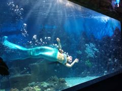 -嘉兴海底世界