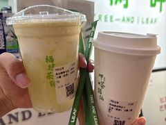 -一树一叶·福建茶档(石鼓路店)