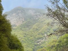-少华山国家森林公园