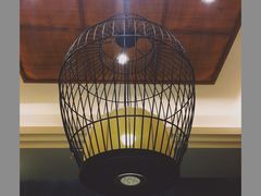 -巴渝菜舍曾氏麻辣风(霸州店)