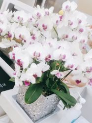 -悟空祛痘·诺奖技术专业店