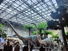 -国家自然博物馆