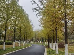 -南京市无想山景区