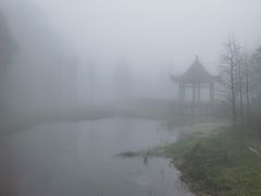 -广州市石门国家森林公园