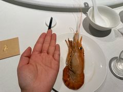 -食廬(浦东嘉里城店)