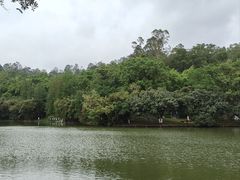 -番禺大夫山森林公园
