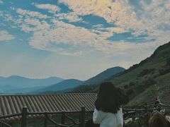-大姆山草场