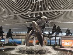 -青岛胶东国际机场