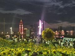 -武昌江滩