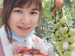 -长洲岛都市农业公园