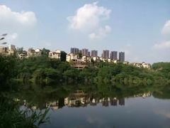 -重庆彩云湖湿地公园