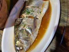 -印象鲵宴·张家界地标美食名片(溪布街店)