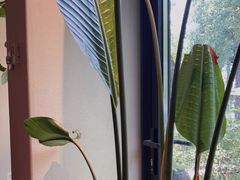 -BOCATA 西班牙餐厅(三里屯店)