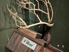 -DC逃逃屋沉浸剧情密室(南京东路步行街店)