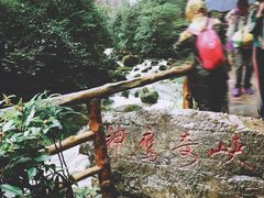 景点-重庆武隆天生三桥风景区-神鹰天坑