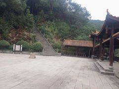 -铁山坪森林公园