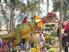 -沈阳植物园