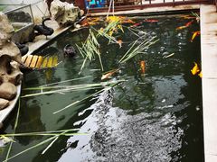 -湖鲜楼