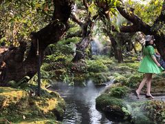 -Chom Cafe and Restaurant