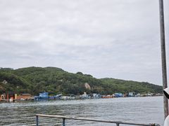 -西澳岛