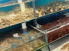 -仙螺岛海鲜自助餐厅(总店)