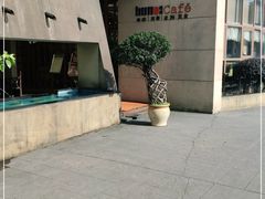 -琥珀咖啡(新南路店)