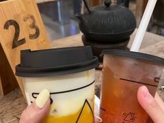 -去茶山