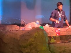 -沈阳海洋探索中心