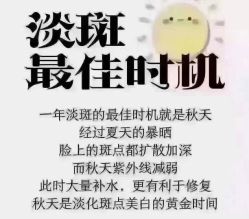 点击看大图 -MLP美丽派·问题肌疗愈中心