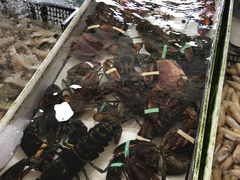 -南沙十九涌渔人码头-南门