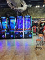 -卡通尼·Safari非洲探索乐园·生日会(金桥国际商业广场店)