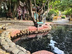 -江门古兜温泉小镇
