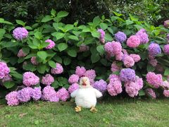 -上海滨江森林公园