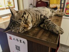 -正阳书局(西四南大街店)