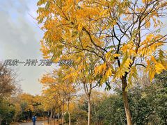 -广富林郊野公园
