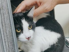 -美联众合动物医院·24h京西诊疗中心