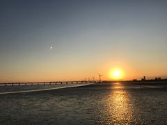 -南汇嘴观海公园