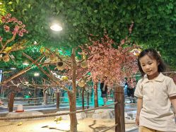 -酷嗒动物文化乐园(cutezoo西溪乐天城店)