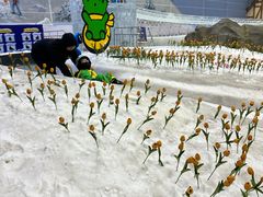 -广州热雪奇迹