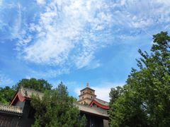 -大雁塔北广场音乐喷泉