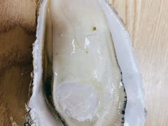 -爱蚝屋
