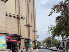 -越南街(万众国际批发市场店)