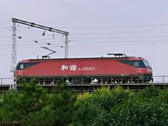 -永定河休闲森林公园