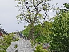 -狼山风景名胜区